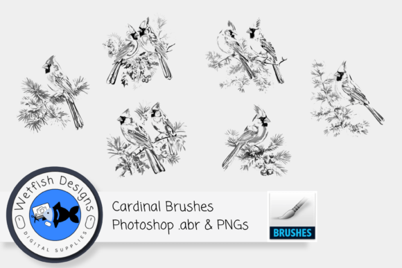 Enhancing Digital Art with 6 High Resolution Cardinal Brushes
